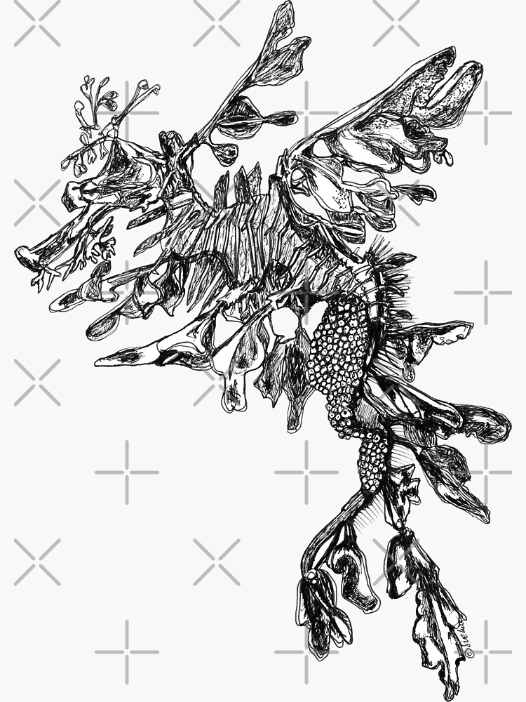 Steve the Leafy Sea Dragon by Wildcard-Sue