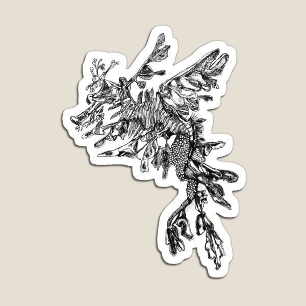 Steve the Leafy Sea Dragon Magnet