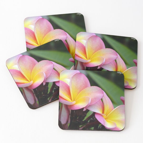 Item preview, Frangerpenny Flowers 561 designed and sold by kevin Chippindall.