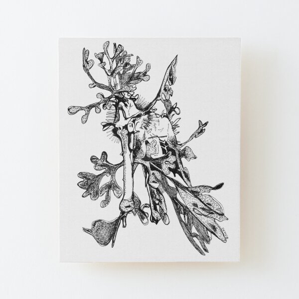 Carl the Leafy Sea Dragon Wood Mounted Print