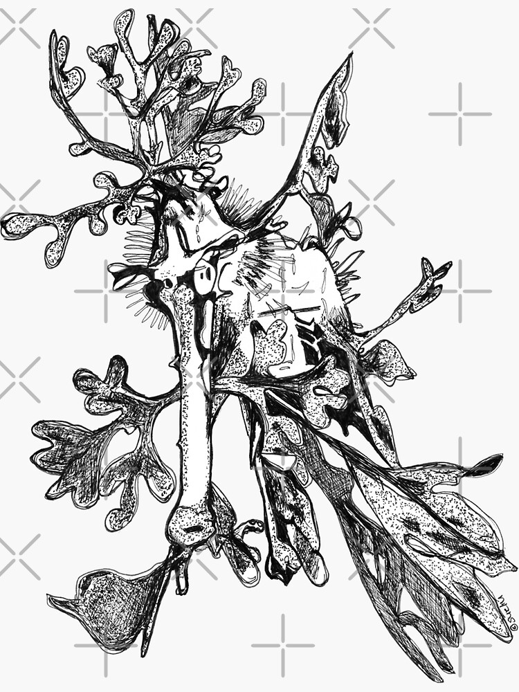 Carl the Leafy Sea Dragon by Wildcard-Sue