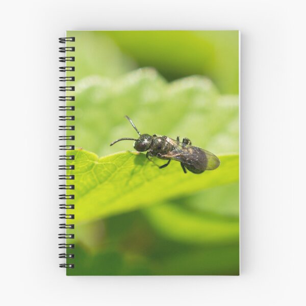 Item preview, Hylaeus Bee on a leaf designed and sold by AnnoraBee.