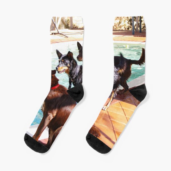Kelpie Team Socks