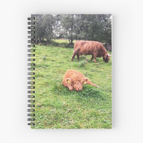 Item preview, Scottish Highland Cattle Calf 1822 designed and sold by SaarelaHighland.