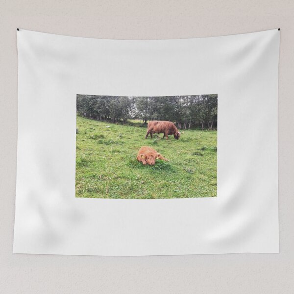 Item preview, Scottish Highland Cattle Calf 1822 designed and sold by SaarelaHighland.