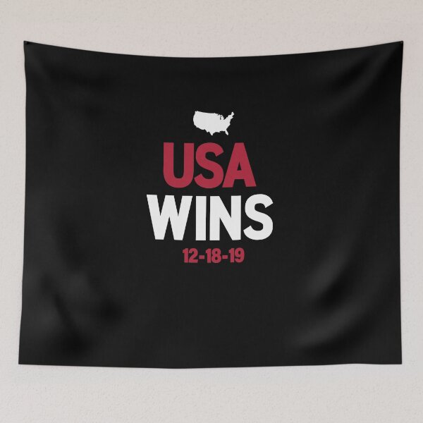 Item preview, USA Wins  designed and sold by Otakso.