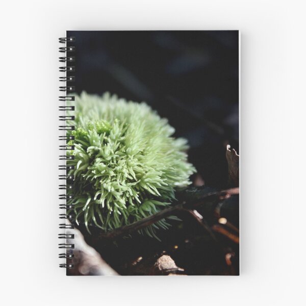 Item preview, The Green Pincushion designed and sold by Kathleen Daley.