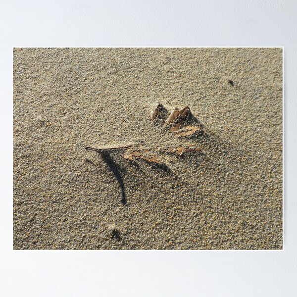 Item preview, Shifting Sands designed and sold by FlotsamDiaries.