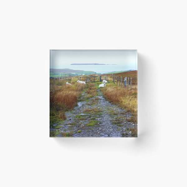 Sheep of Glencolmcille - County Donegal Acrylic Block
