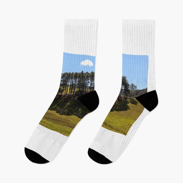 Item preview, Trees  ..Conductor  Orchestra  and cloud designed and sold by John Van Den Broeke.