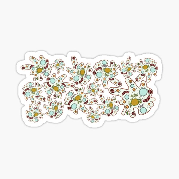 Amoeba Print Sticker