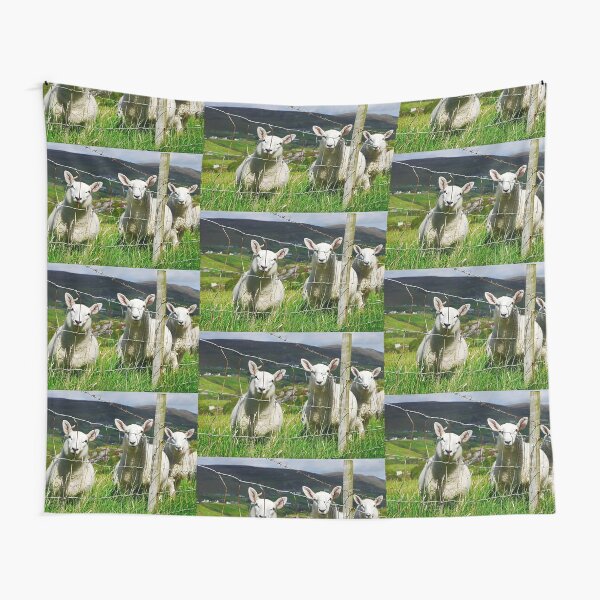 Curious Little Sheep Tapestry