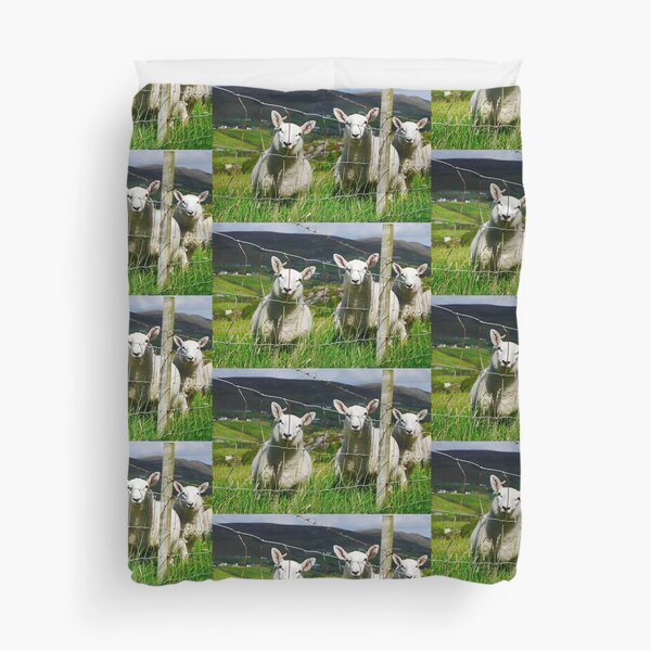 Curious Little Sheep Duvet Cover