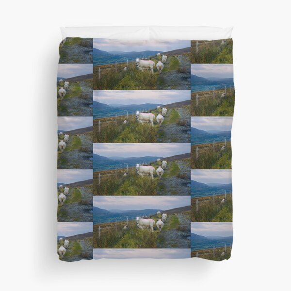 Sheep on Rural Path - County Donegal Duvet Cover