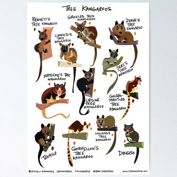 Item preview, Tree Kangaroos designed and sold by Green Humour.