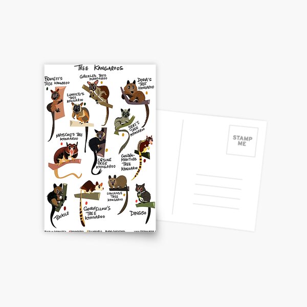 Tree Kangaroos Postcard