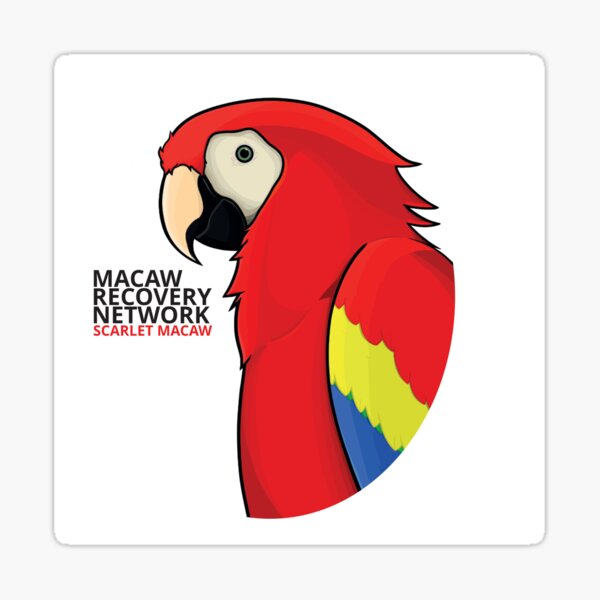 Scarlet Macaw Cartoon - Macaw Recovery Network Sticker