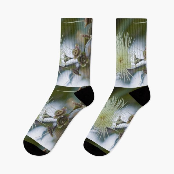 Item preview, Rose Apple Blossom   designed and sold by Kerryn Madsen-Pietsch.