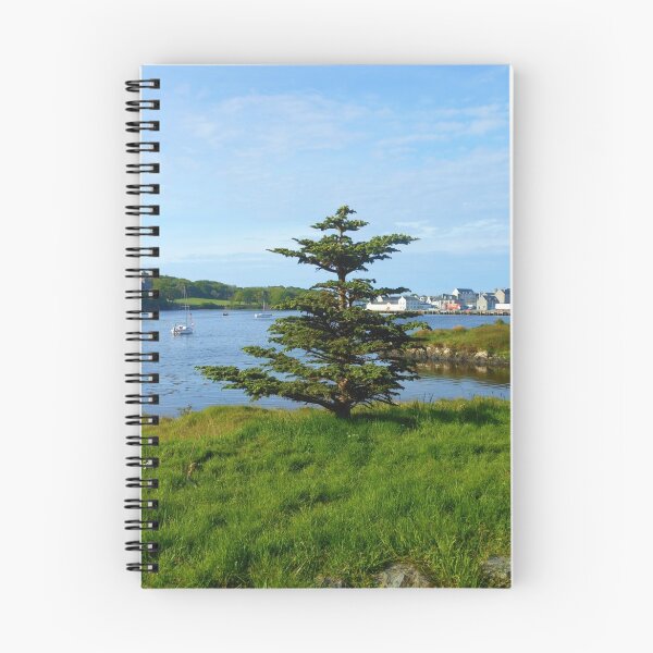 Item preview, Stornoway Sentinel designed and sold by Kathryn Jones.