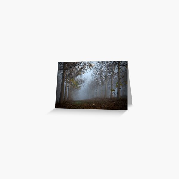 Item preview, She Never Came Back... designed and sold by LeeoPhotography.