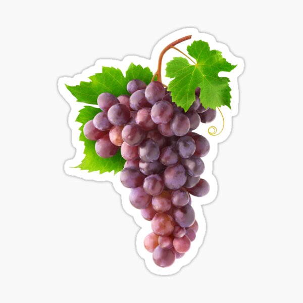 Item preview, Bunch of red grapes designed and sold by 6hands.