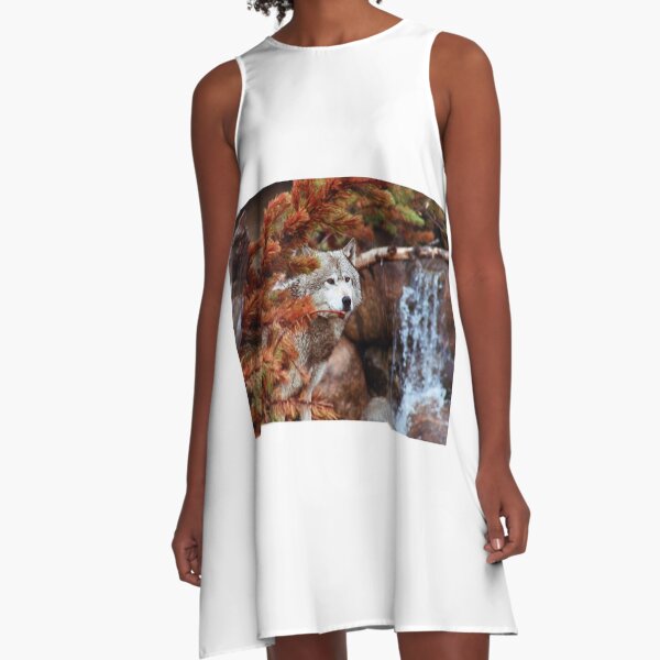 Out of the Shadows A-Line Dress