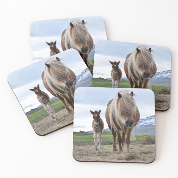Item preview, One day old Icelandic horse foal designed and sold by elisainiceland.