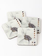 Posavasos Estudio de liebre