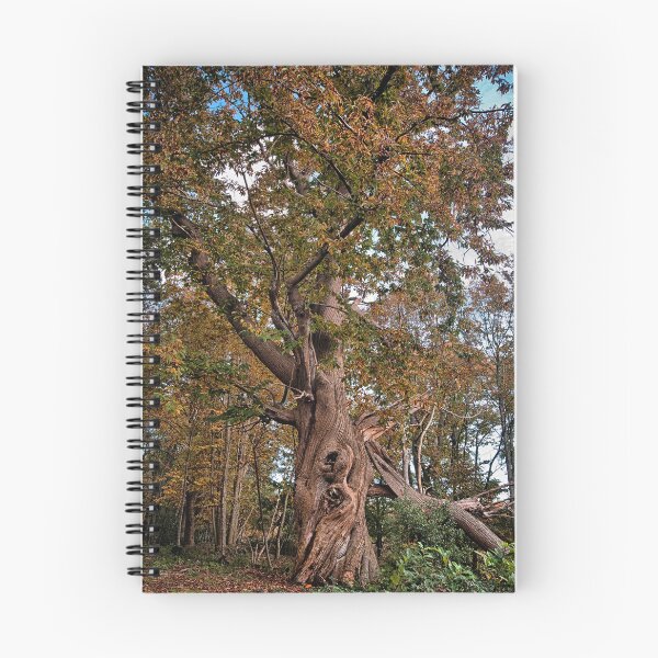 Item preview, Spreading Chestnut Tree designed and sold by Dave Godden.