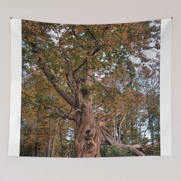 Item preview, Spreading Chestnut Tree designed and sold by Dave Godden.