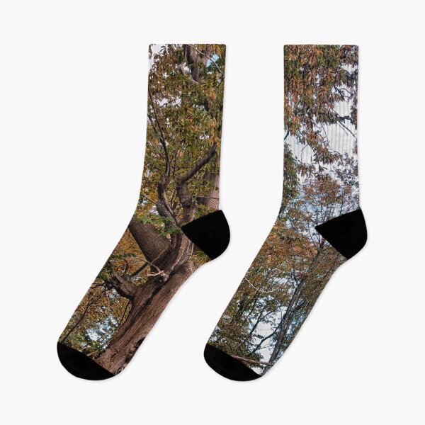 Item preview, Spreading Chestnut Tree designed and sold by Dave Godden.