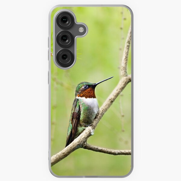 Item preview, Ruby Throated Hummingbird designed and sold by Christina Rollo.