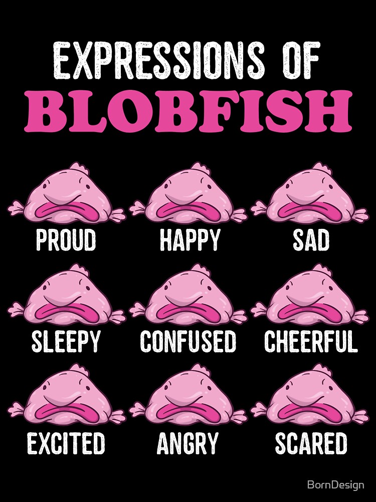 Sad Blobfish noises* : r/memes