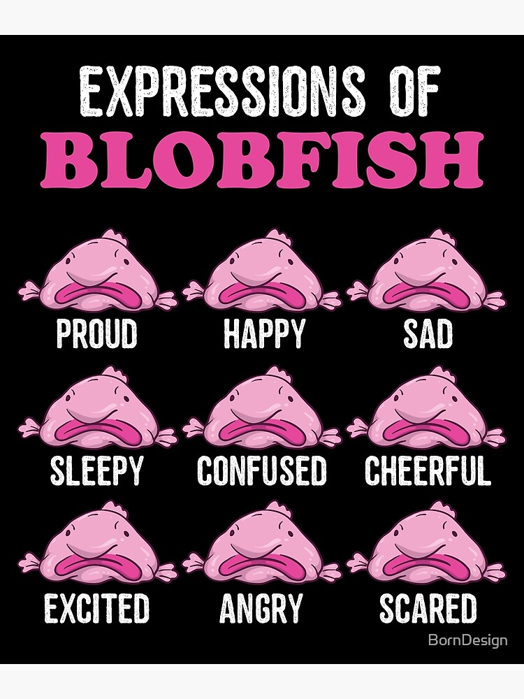 Expressions of Blobfish | Funny Ugly Fish Meme | Postcard