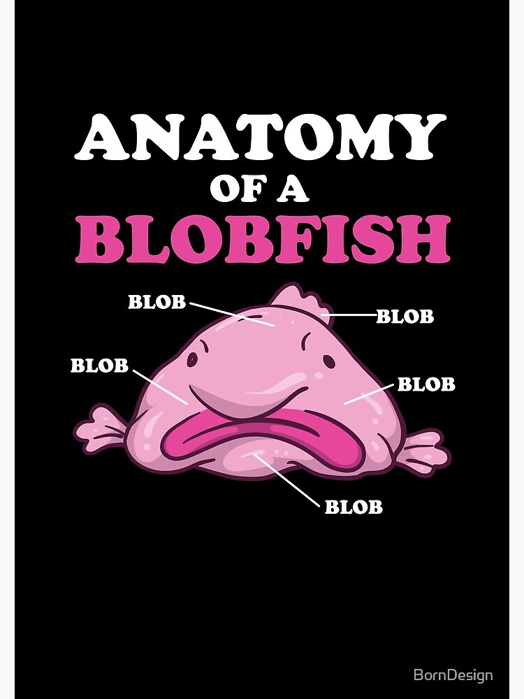 Blob fish meme  Sweet memes, Fishing memes, Mood pics