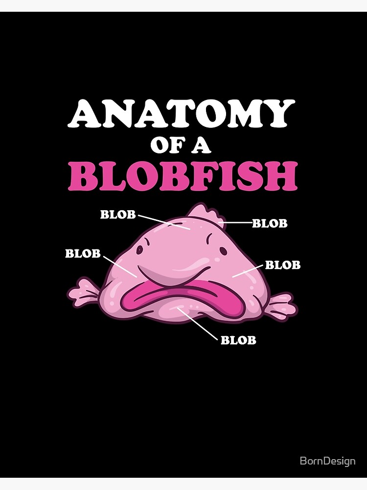 Anatomy Of A Blobfish, Funny Ugly Fish Meme Art Board Print for Sale by  BornDesign