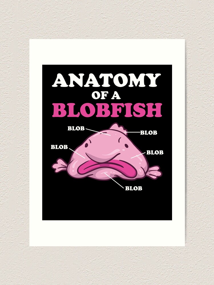 The sad fate of the blobfish : r/memes