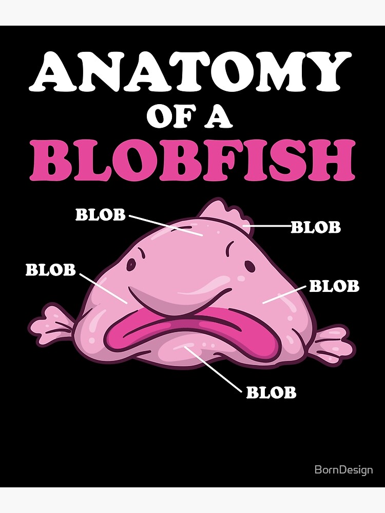 Anatomy of A Blobfish Funny Ugly Fish Meme Photographic Print for Sale by  Charles Brian