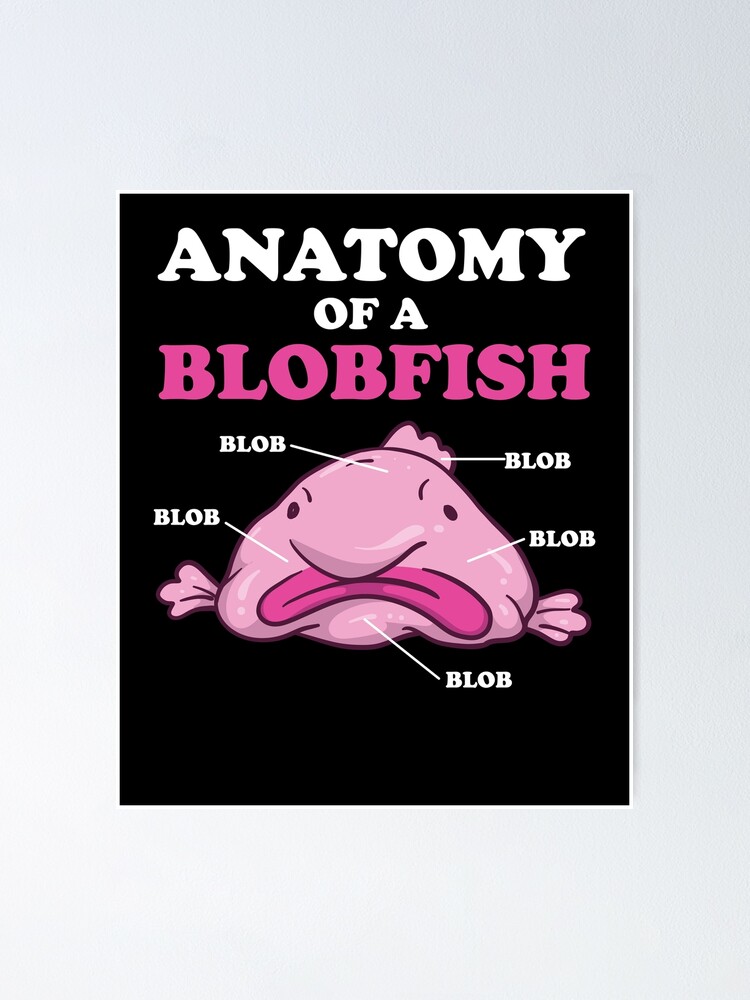 Anatomy Of A Blobfish | Funny Ugly Fish Meme | Poster