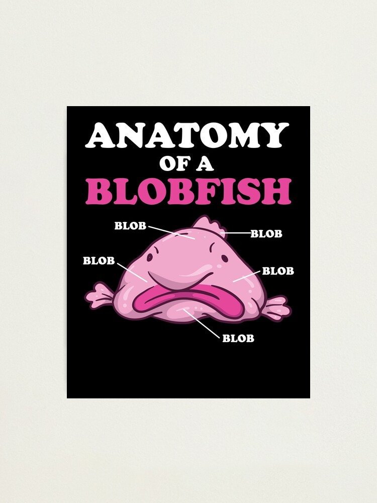 Anatomy of A Blobfish Funny Ugly Fish Meme Photographic Print for Sale by  Charles Brian