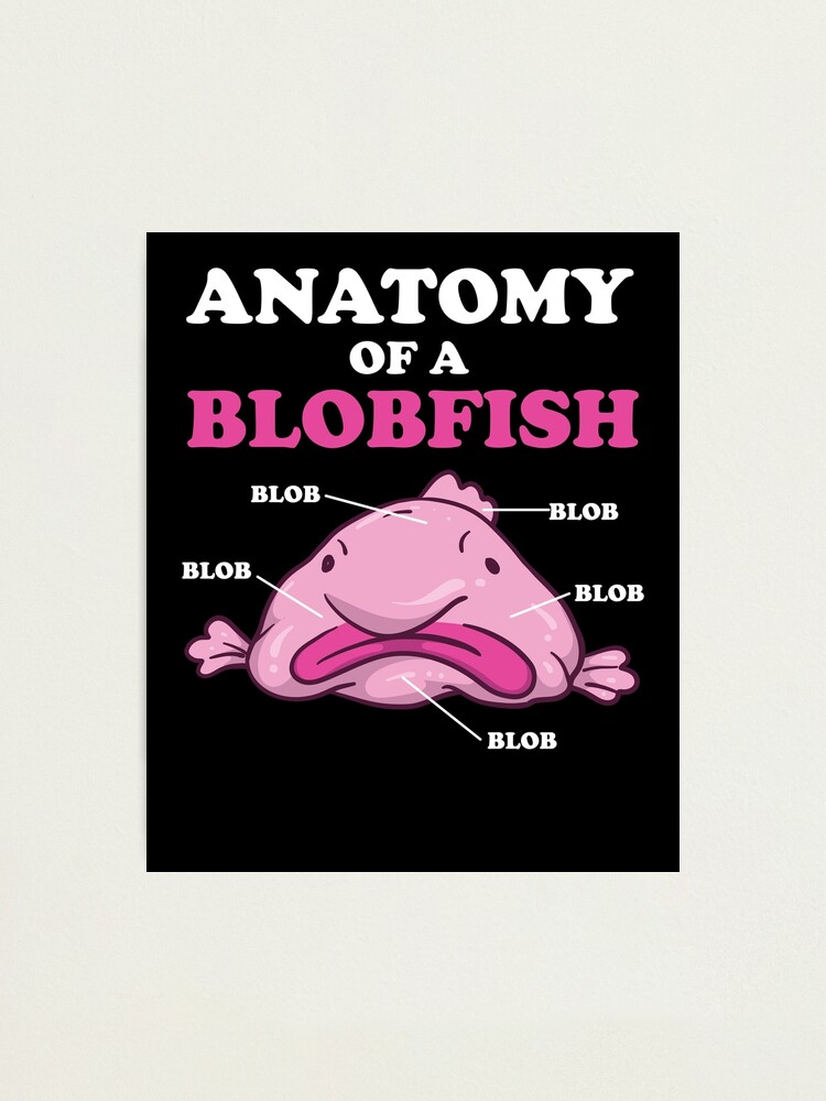 Anatomy of a Blobfish Funny Meme Clothing Kids' Sticker