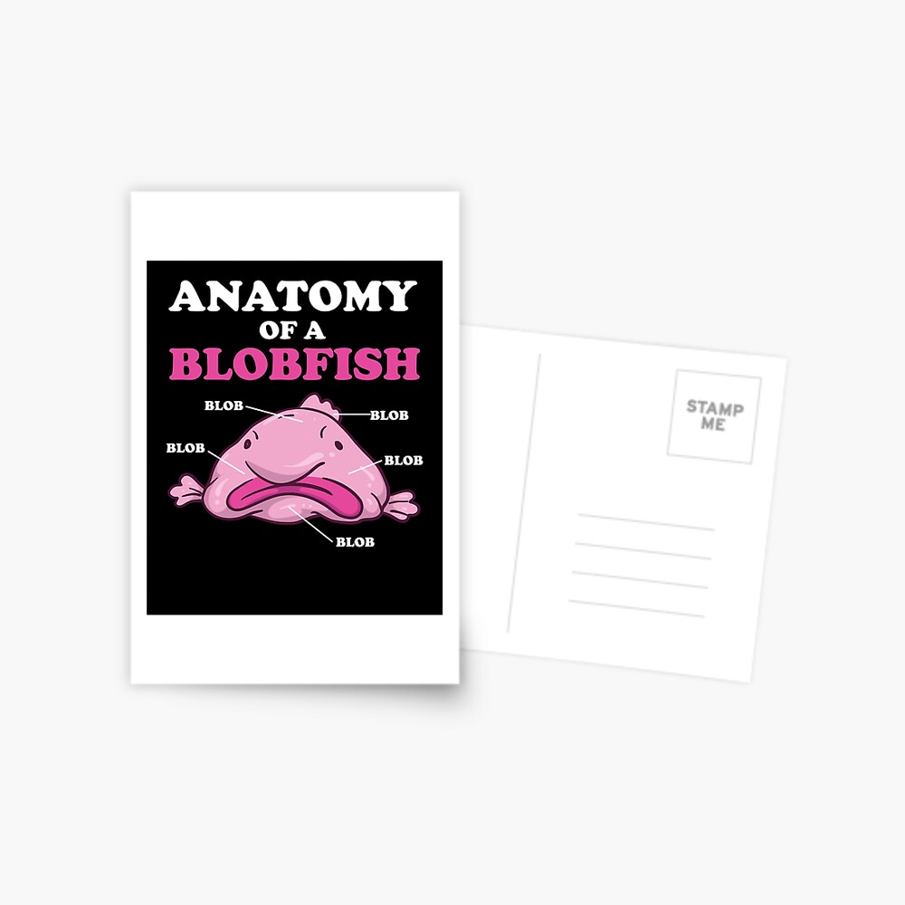 Anatomy of A Blobfish Funny Ugly Fish Meme Photographic Print for Sale by  Charles Brian