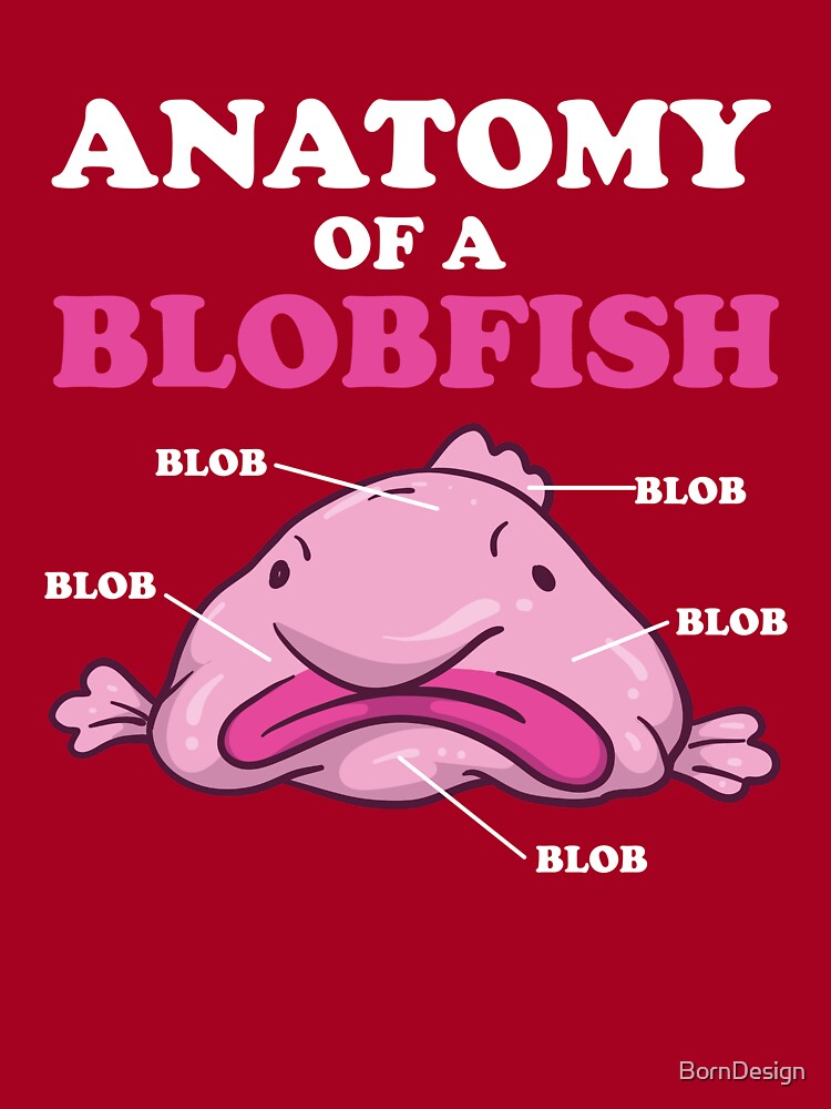 Anatomy of A Blobfish Funny Ugly Fish Meme Photographic Print for Sale by  Charles Brian