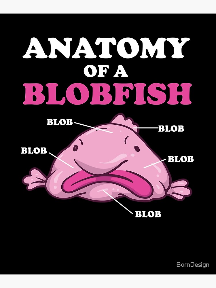 Blobfish - New Life for an Old Meme