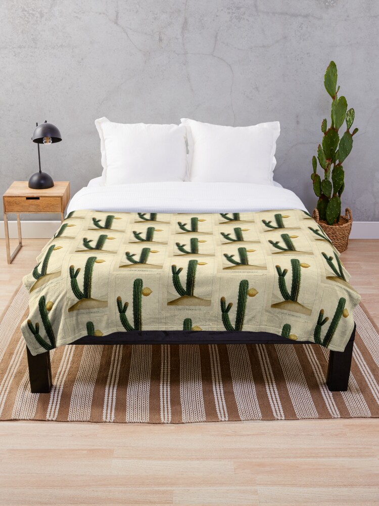 Cactus blanket online