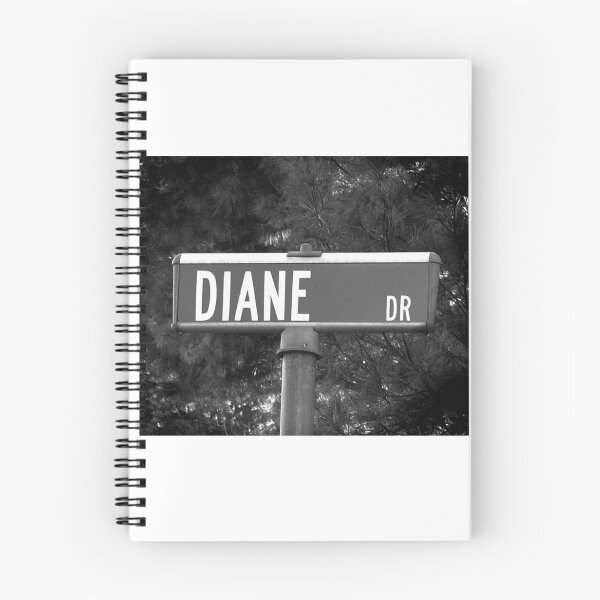 Item preview, A Street Sign Named Diane designed and sold by jcwest.