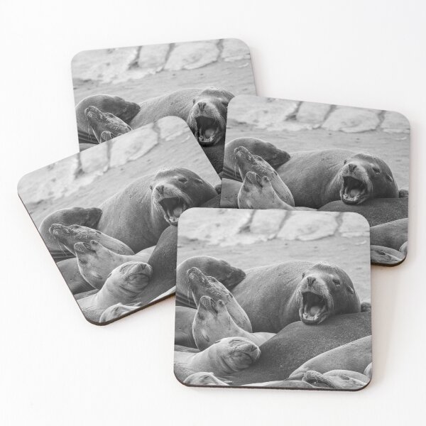 Item preview, Seals designed and sold by PicsByDerek.