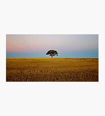 Endless Gold — The Tree Photographic Print