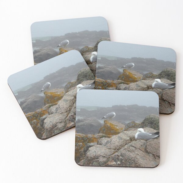 Item preview, Nesting on the rocks designed and sold by jchanders.