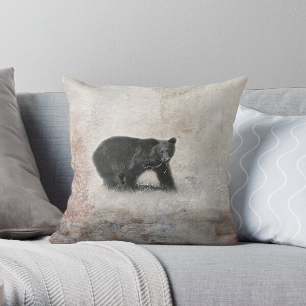 https://ih1.redbubble.net/image.1004858252.5441/throwpillow,small,600x-bg,f8f8f8-c,0,120,600,600.u2.jpg